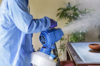 Fumigation Service in Coeur D Alene, ID