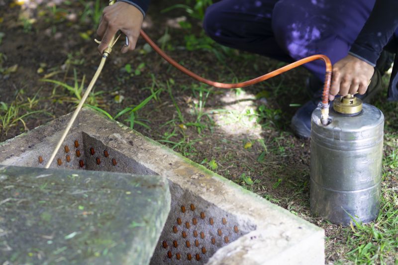 Fumigation Service in Fort Collins, CO