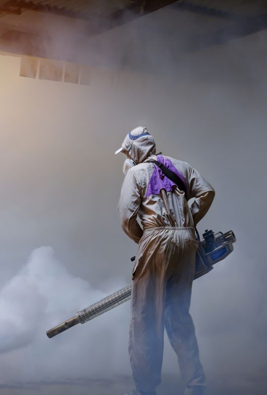 Roach Fumigation in Cumming, GA