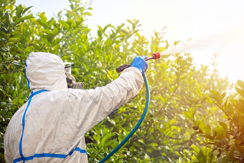 Commercial Fumigation in Santa Fe, NM