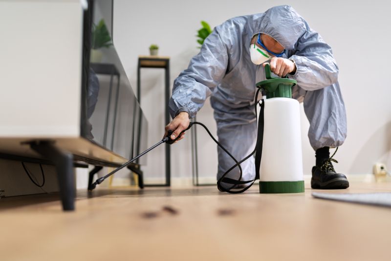 Insect Extermination Service in Katy, TX