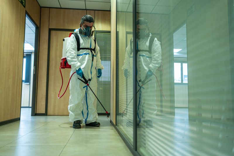Roach Fumigation in Bellingham, WA