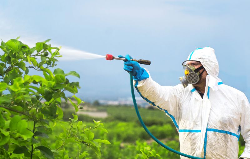 Spider Fumigation Service in Gwinnett County, GA