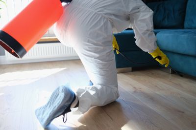 Spider Fumigation Service in Katy, TX