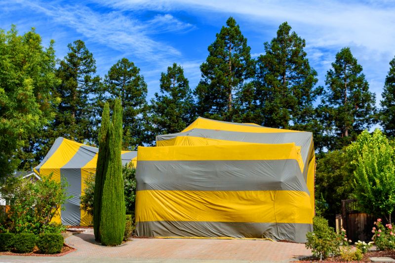 Termite Tenting in Ann Arbor, MI